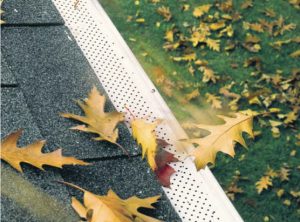 leaves falling off a gutter cover 