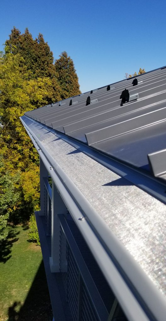 Close-up of a metal roof installed by a skilled roofing contractor with a seamless gutter system under a clear blue sky. The roof reflects sunlight, and trees with green and yellow leaves are visible in the background.