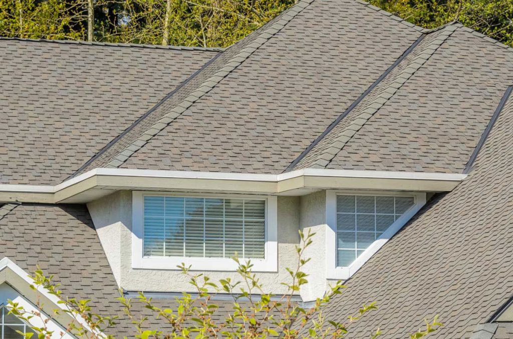 A close-up view of a house roof with multiple gables, featuring gray asphalt shingles and ABC seamless siding. A window with white blinds is set into the sloping roof, and a few green branches are visible in the foreground.