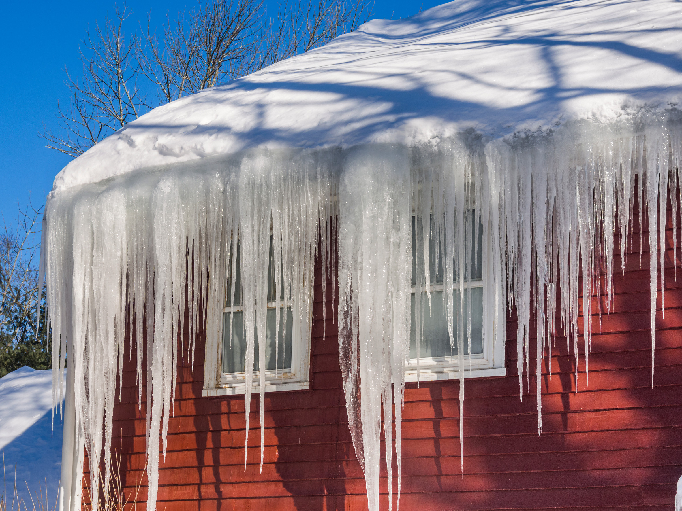 Icicles hang from the snow-covered roof of a red house against a clear blue sky, but beware of ice dams that could form. Two windows are partially visible, and sunlight casts shadows of bare tree branches on the snow. Prevent damage to protect your home this winter.